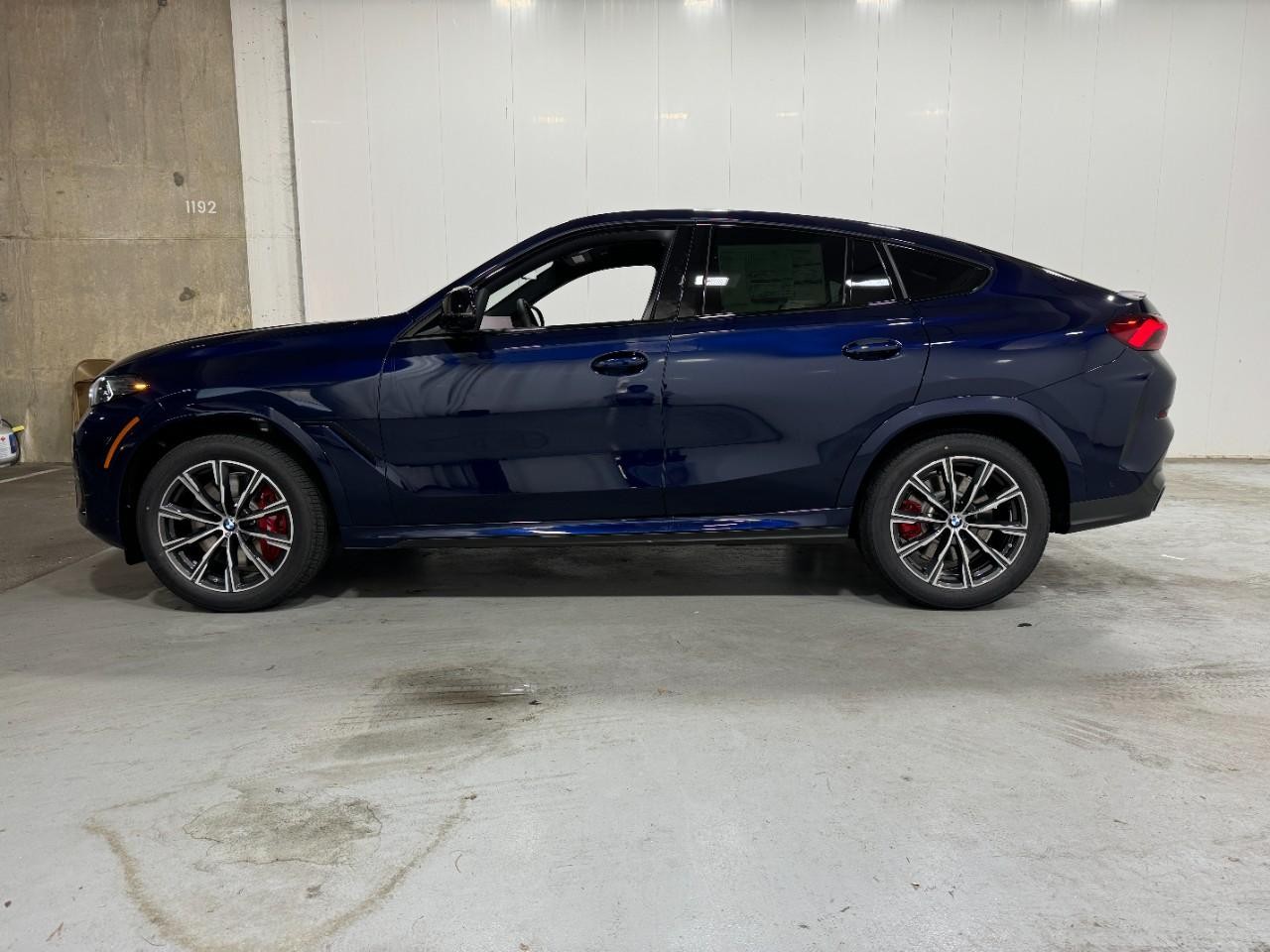 BMW X6 Vehicle Full-screen Gallery Image 2