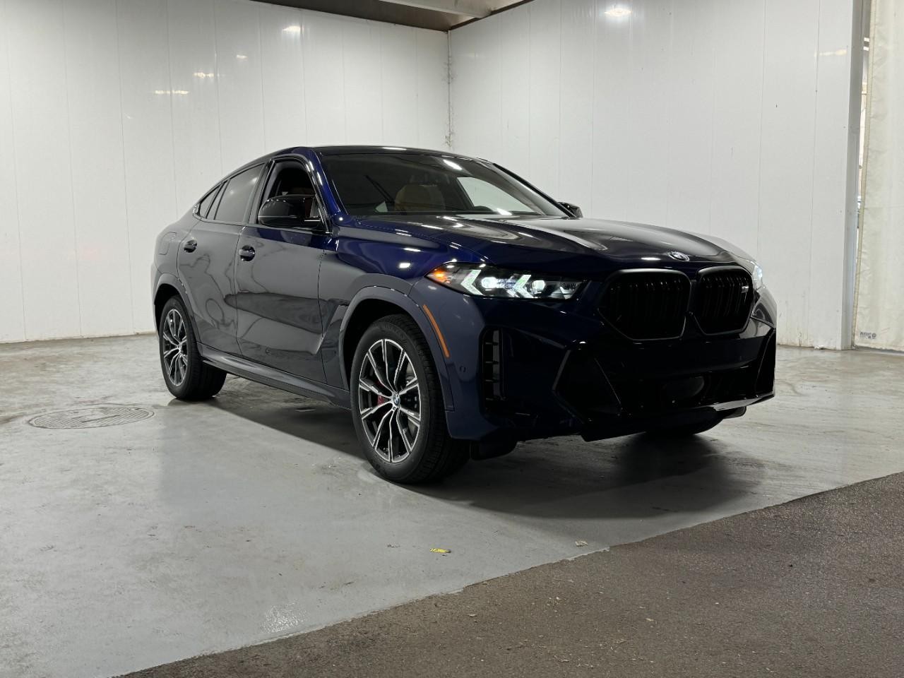 BMW X6 Vehicle Full-screen Gallery Image 6