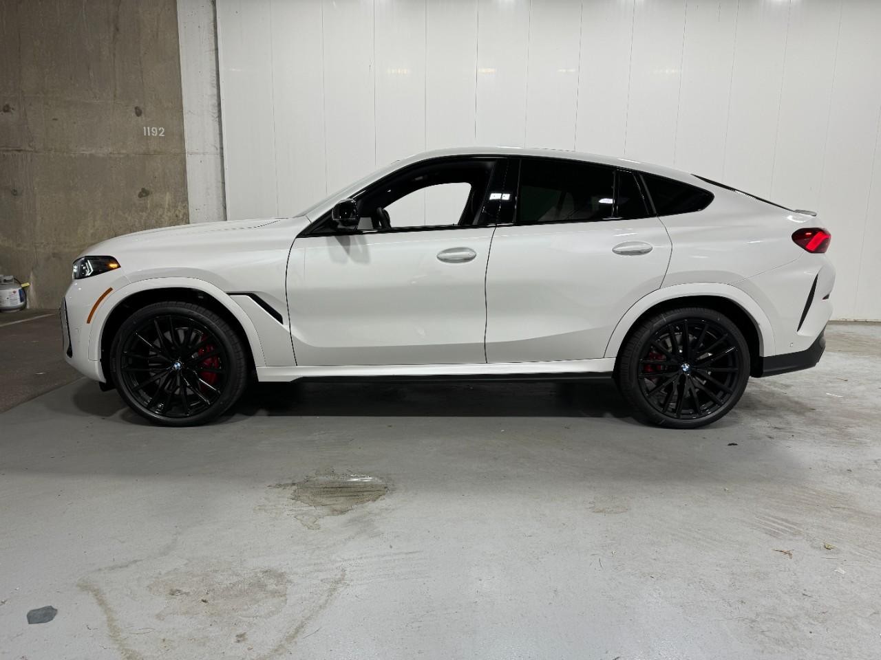 BMW X6 Vehicle Full-screen Gallery Image 2
