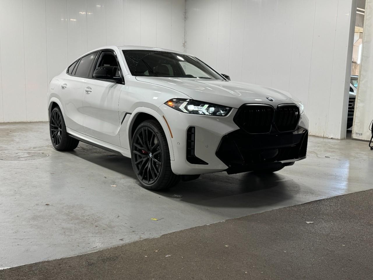 BMW X6 Vehicle Full-screen Gallery Image 6