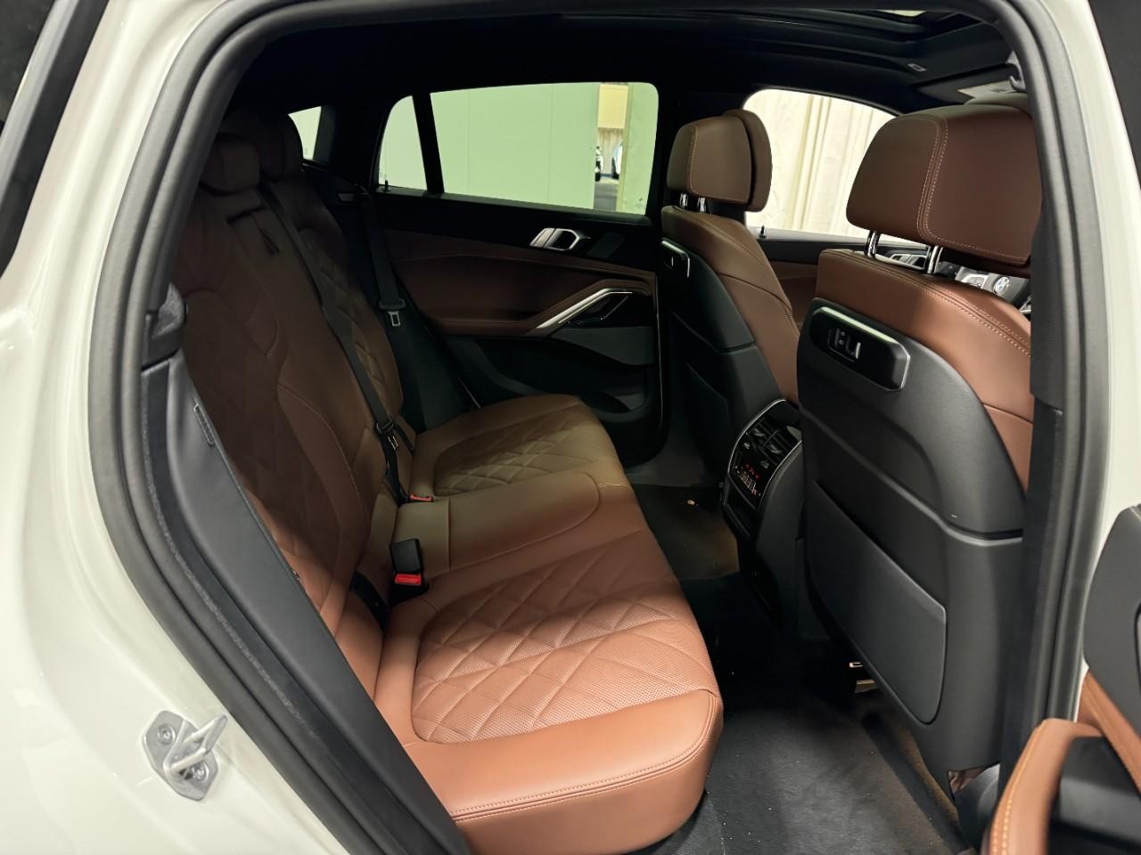 BMW X6 Vehicle Full-screen Gallery Image 10