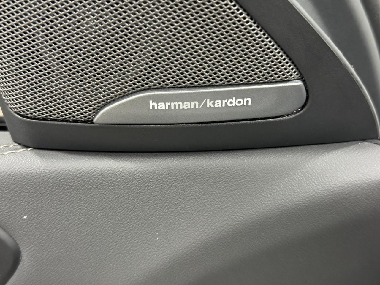 BMW X6 Vehicle Full-screen Gallery Image 23