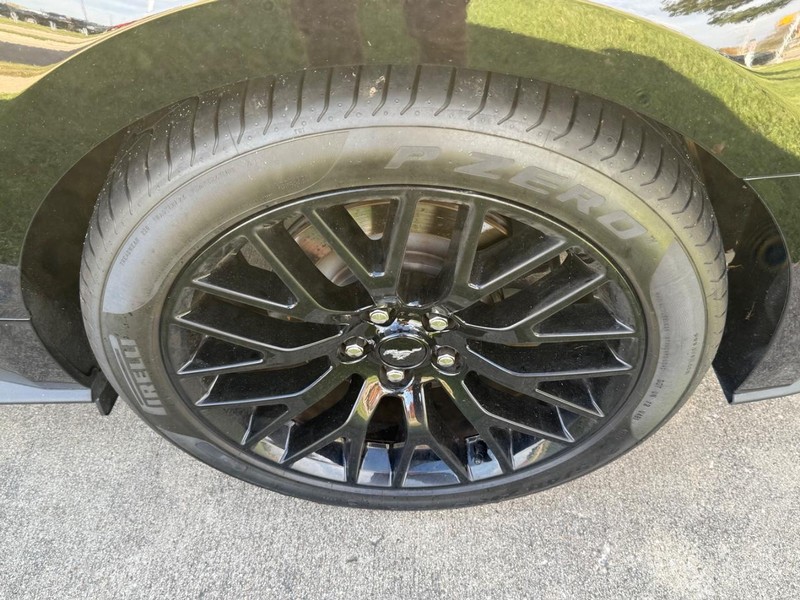 Ford Mustang Vehicle Image 6