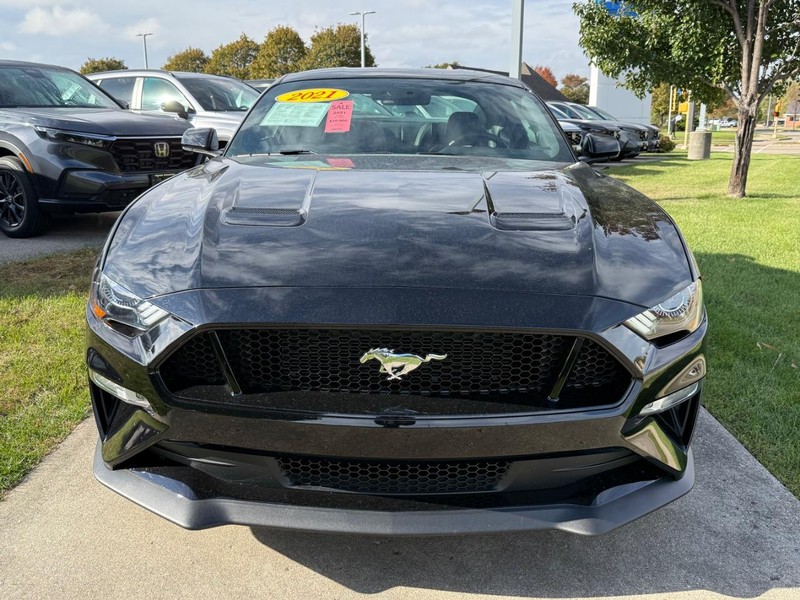 Ford Mustang Vehicle Image 8
