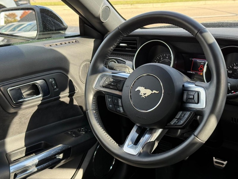 Ford Mustang Vehicle Image 13