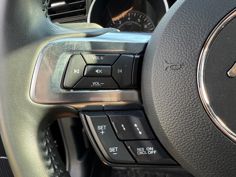 Ford Mustang Vehicle Image 15