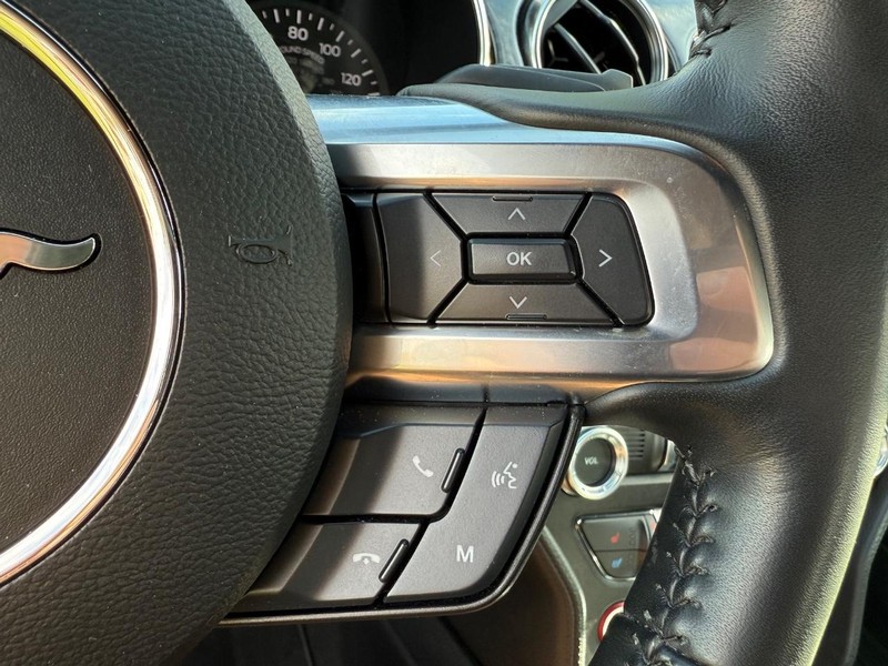 Ford Mustang Vehicle Image 16