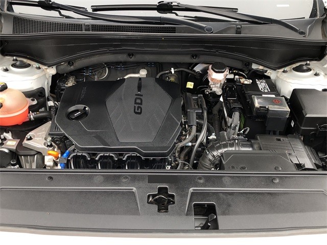 Hyundai Santa Fe Vehicle Full-screen Gallery Image 19