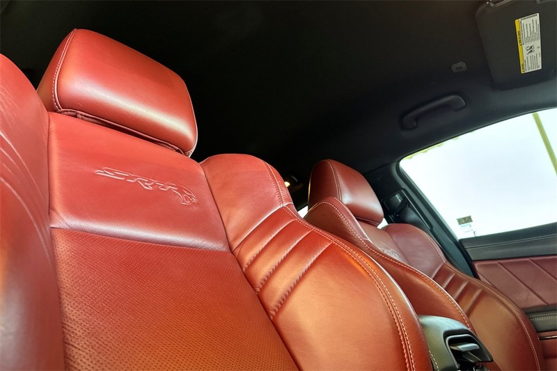 Dodge Charger Vehicle Full-screen Gallery Image 16