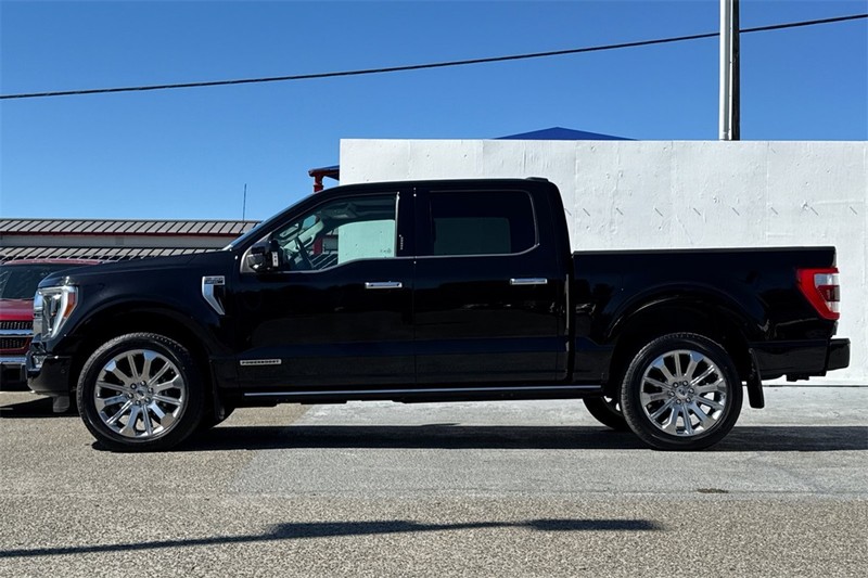 Ford F-150 Vehicle Full-screen Gallery Image 07