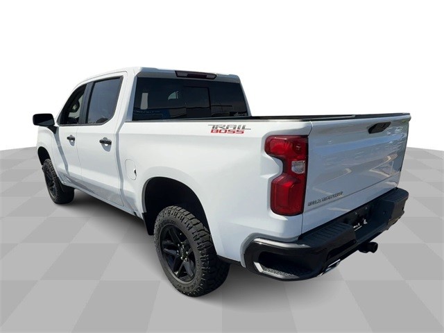 Chevrolet Silverado 1500 Vehicle Full-screen Gallery Image 6