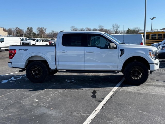 2023 Ford F-150 XLT's photo