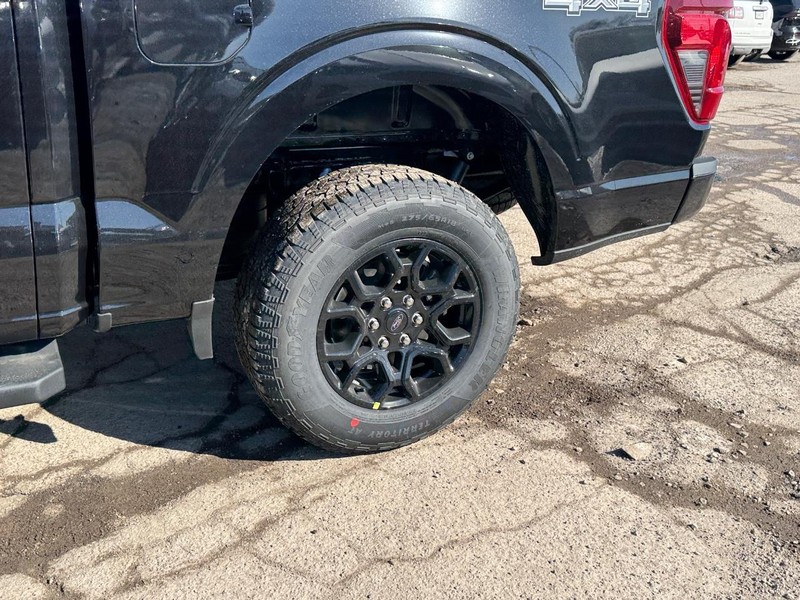 Ford F-150 Vehicle Full-screen Gallery Image 11