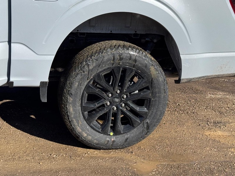 Ford F-150 Vehicle Full-screen Gallery Image 11
