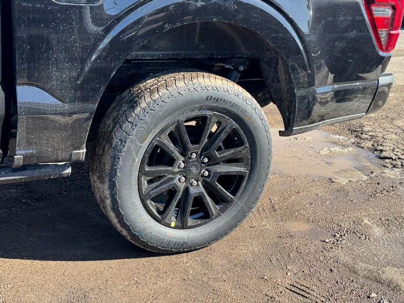 Ford F-150 Vehicle Full-screen Gallery Image 11