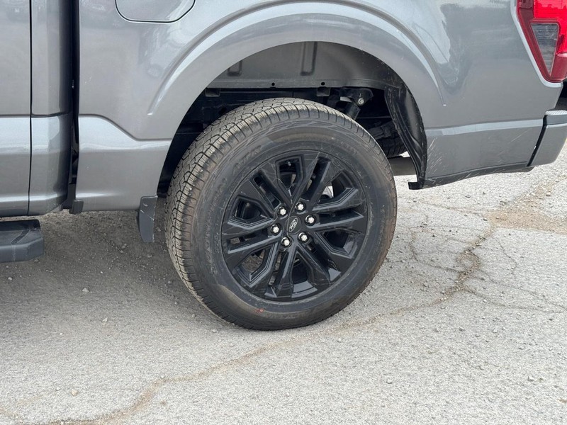 Ford F-150 Vehicle Full-screen Gallery Image 11
