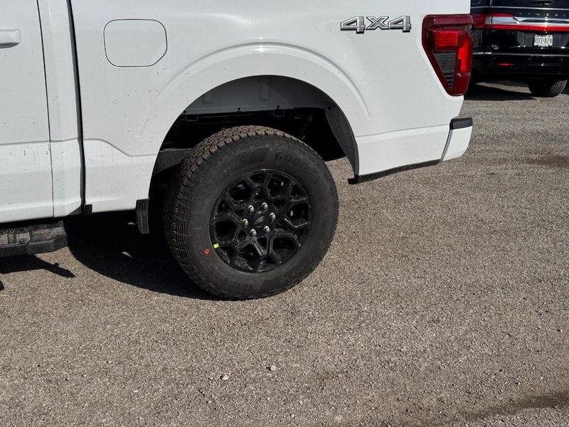 Ford F-150 Vehicle Full-screen Gallery Image 11