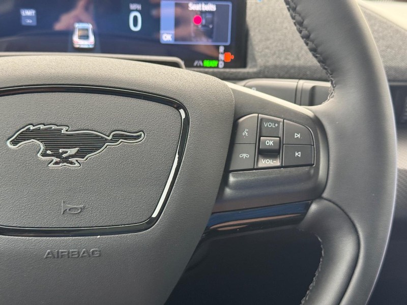 Ford Mustang Mach-E Vehicle Full-screen Gallery Image 22