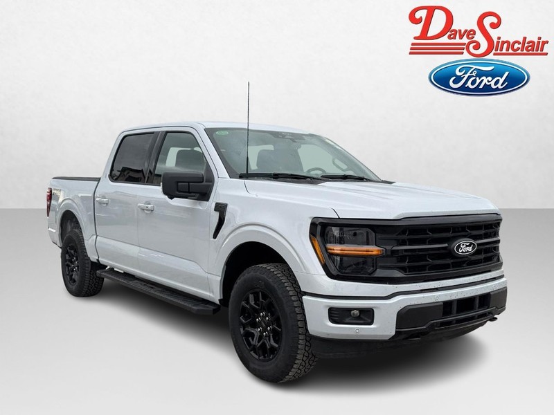 Ford F-150 Vehicle Full-screen Gallery Image 04