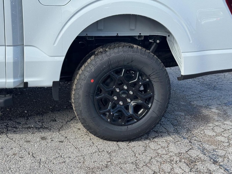 Ford F-150 Vehicle Full-screen Gallery Image 11