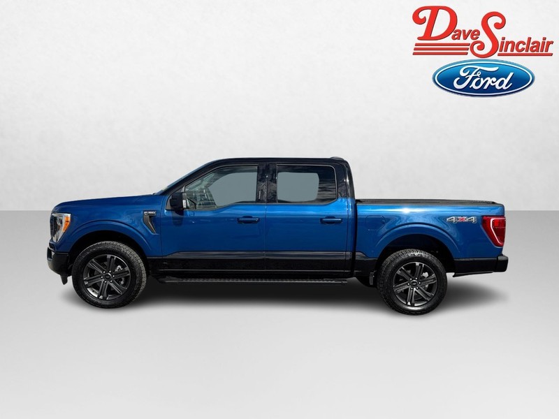 Ford F-150 Vehicle Full-screen Gallery Image 10