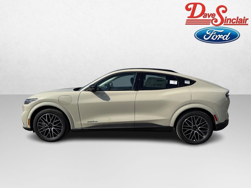 Ford Mustang Mach-E Vehicle Full-screen Gallery Image 10