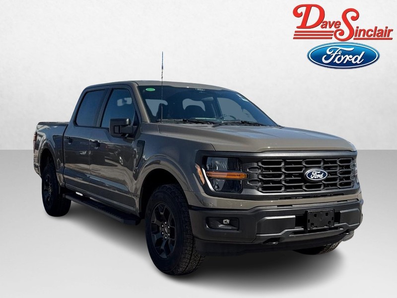 Ford F-150 Vehicle Full-screen Gallery Image 04