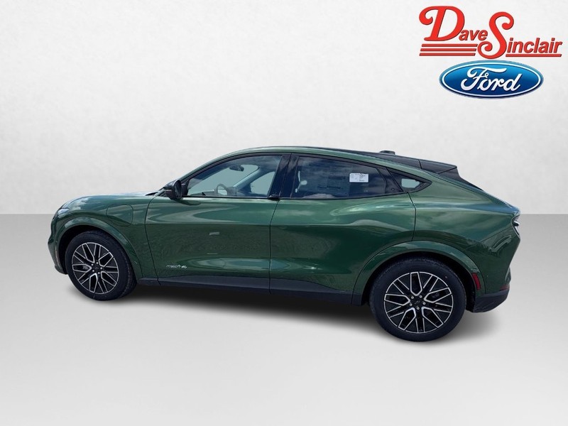 Ford Mustang Mach-E Vehicle Full-screen Gallery Image 10