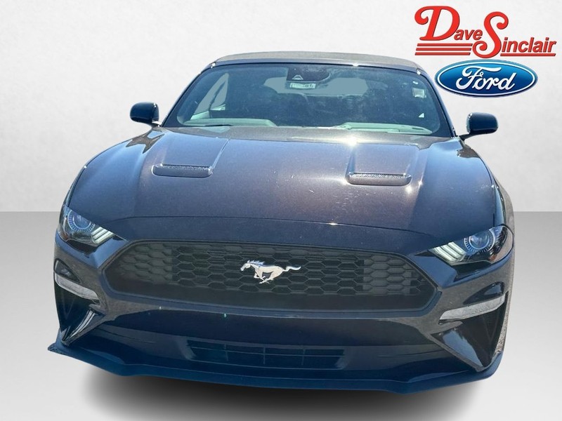 Ford Mustang Vehicle Full-screen Gallery Image 02