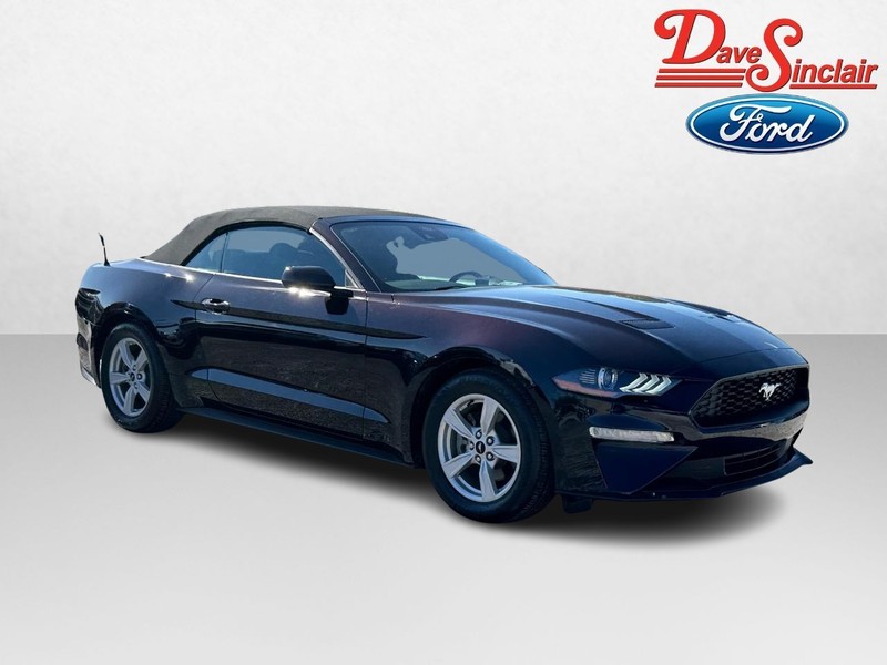 Ford Mustang Vehicle Full-screen Gallery Image 04