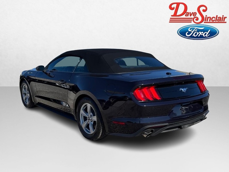 Ford Mustang Vehicle Full-screen Gallery Image 09
