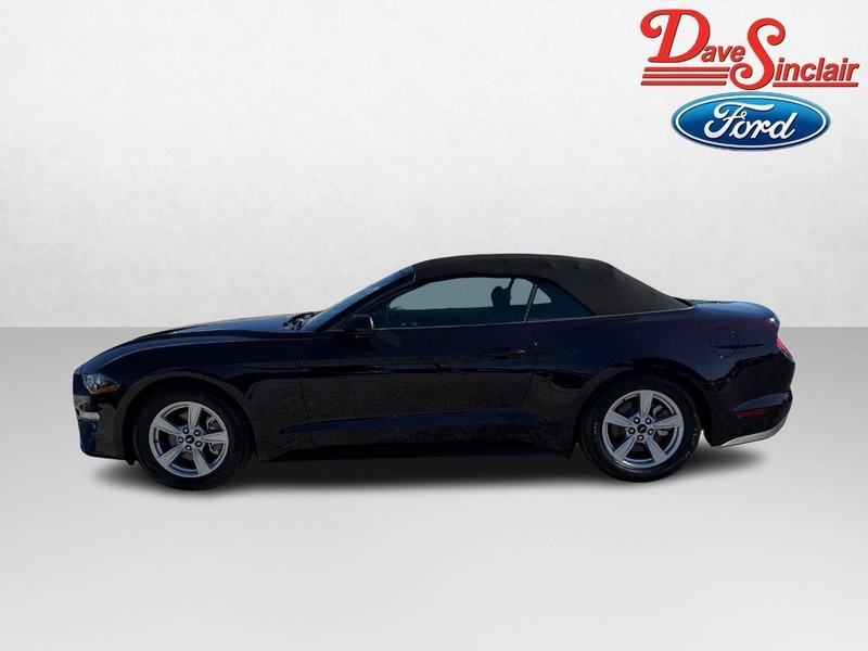 Ford Mustang Vehicle Full-screen Gallery Image 10