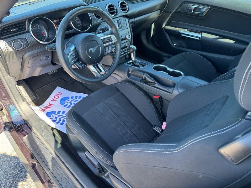 Ford Mustang Vehicle Full-screen Gallery Image 13