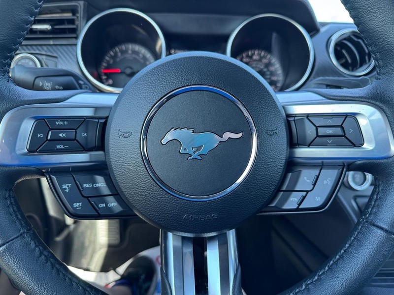 Ford Mustang Vehicle Full-screen Gallery Image 18