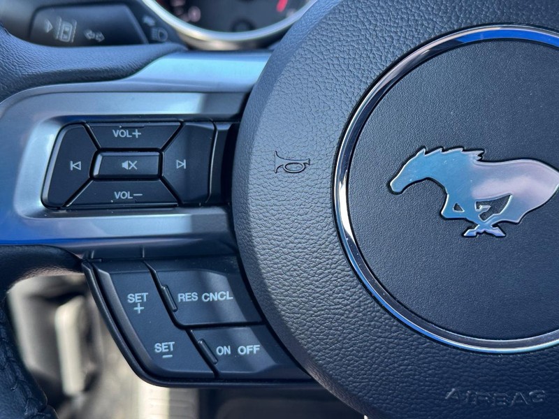Ford Mustang Vehicle Full-screen Gallery Image 19