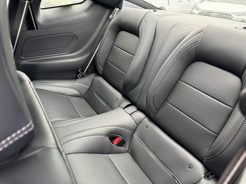 Ford Mustang Vehicle Full-screen Gallery Image 12