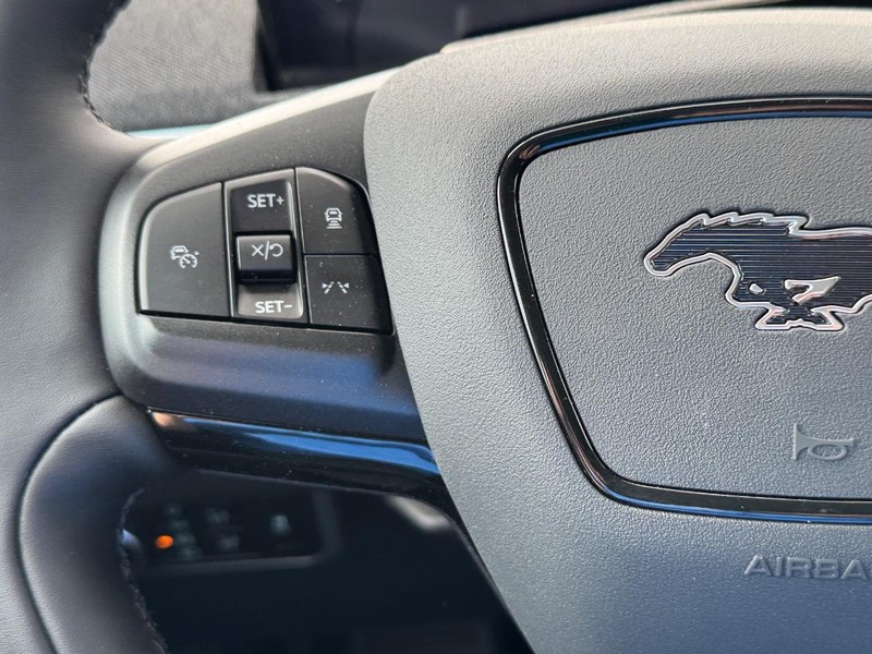 Ford Mustang Mach-E Vehicle Full-screen Gallery Image 23