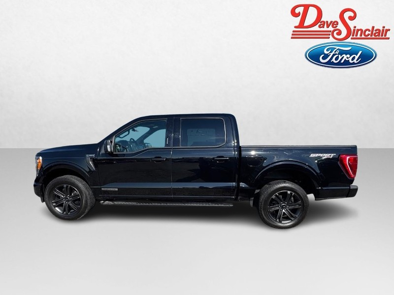 Ford F-150 Vehicle Full-screen Gallery Image 10