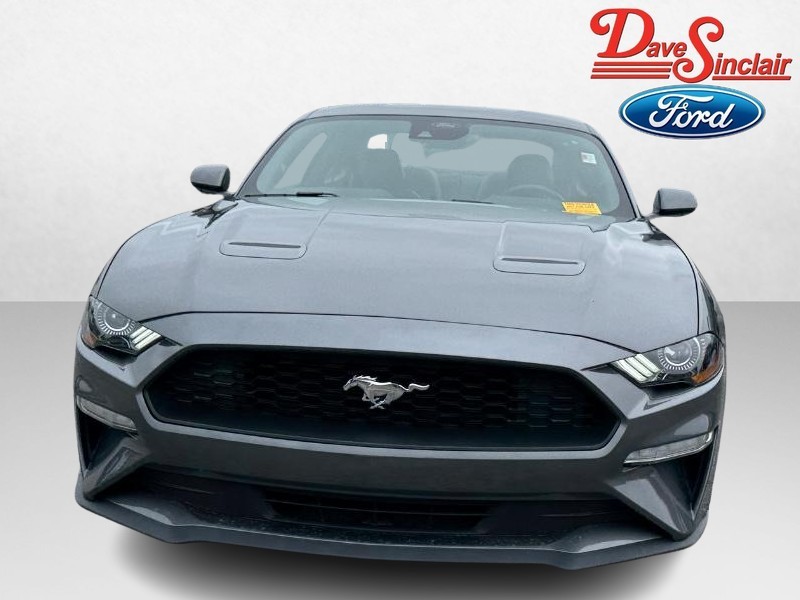 Ford Mustang Vehicle Full-screen Gallery Image 02