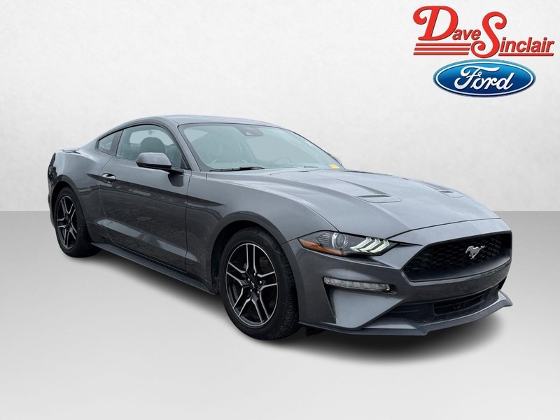 Ford Mustang Vehicle Full-screen Gallery Image 04