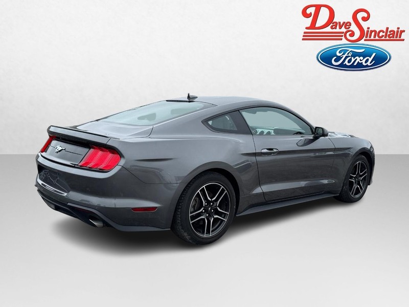 Ford Mustang Vehicle Full-screen Gallery Image 07