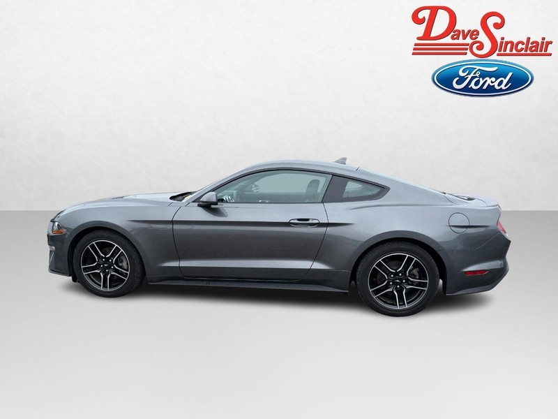 Ford Mustang Vehicle Full-screen Gallery Image 10