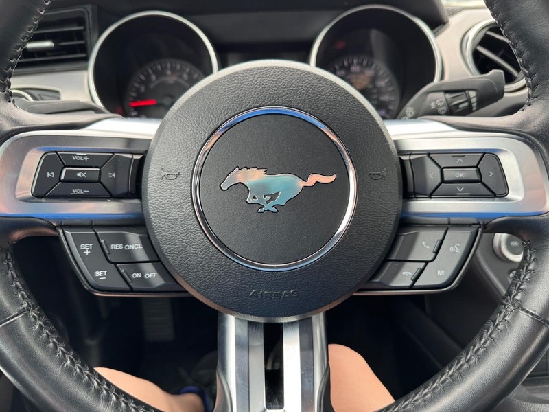 Ford Mustang Vehicle Full-screen Gallery Image 19