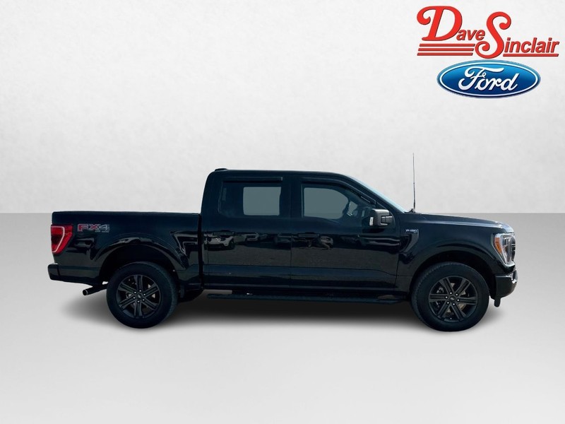 Ford F-150 Vehicle Full-screen Gallery Image 05