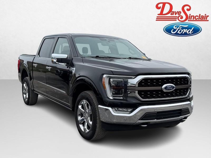 Ford F-150 Vehicle Full-screen Gallery Image 04