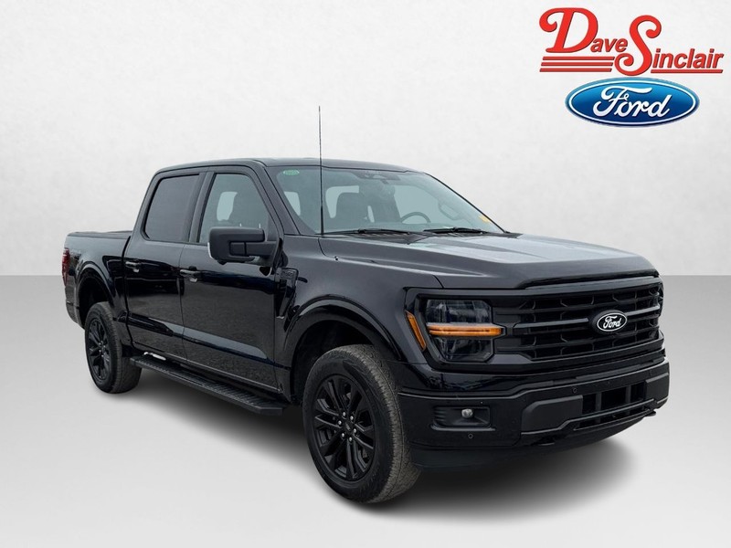 Ford F-150 Vehicle Full-screen Gallery Image 04