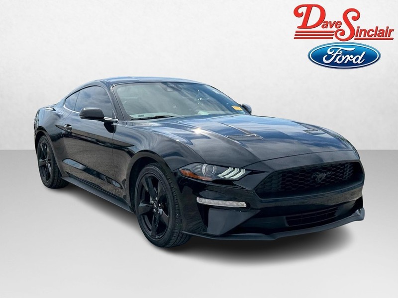 Ford Mustang Vehicle Full-screen Gallery Image 04