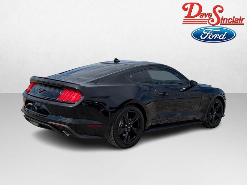 Ford Mustang Vehicle Full-screen Gallery Image 07