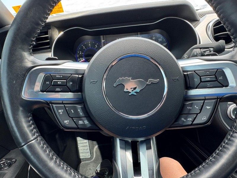 Ford Mustang Vehicle Full-screen Gallery Image 19