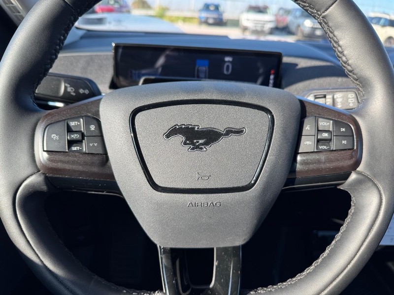 Ford Mustang Mach-E Vehicle Full-screen Gallery Image 20